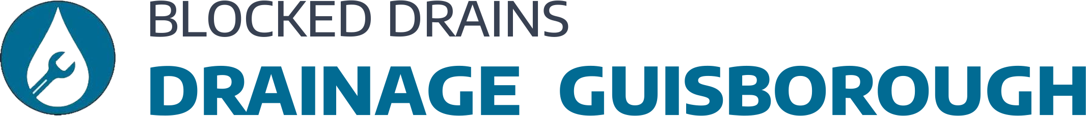website logo